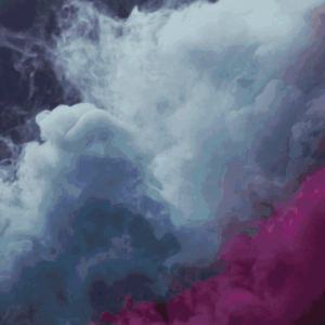 Membresía de la Comunidad – WNBF Panamá